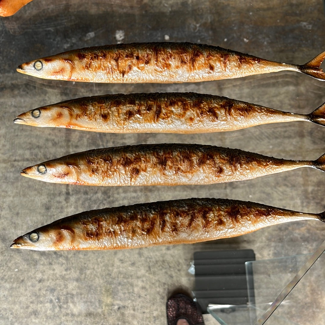 Mackerel Magnet
