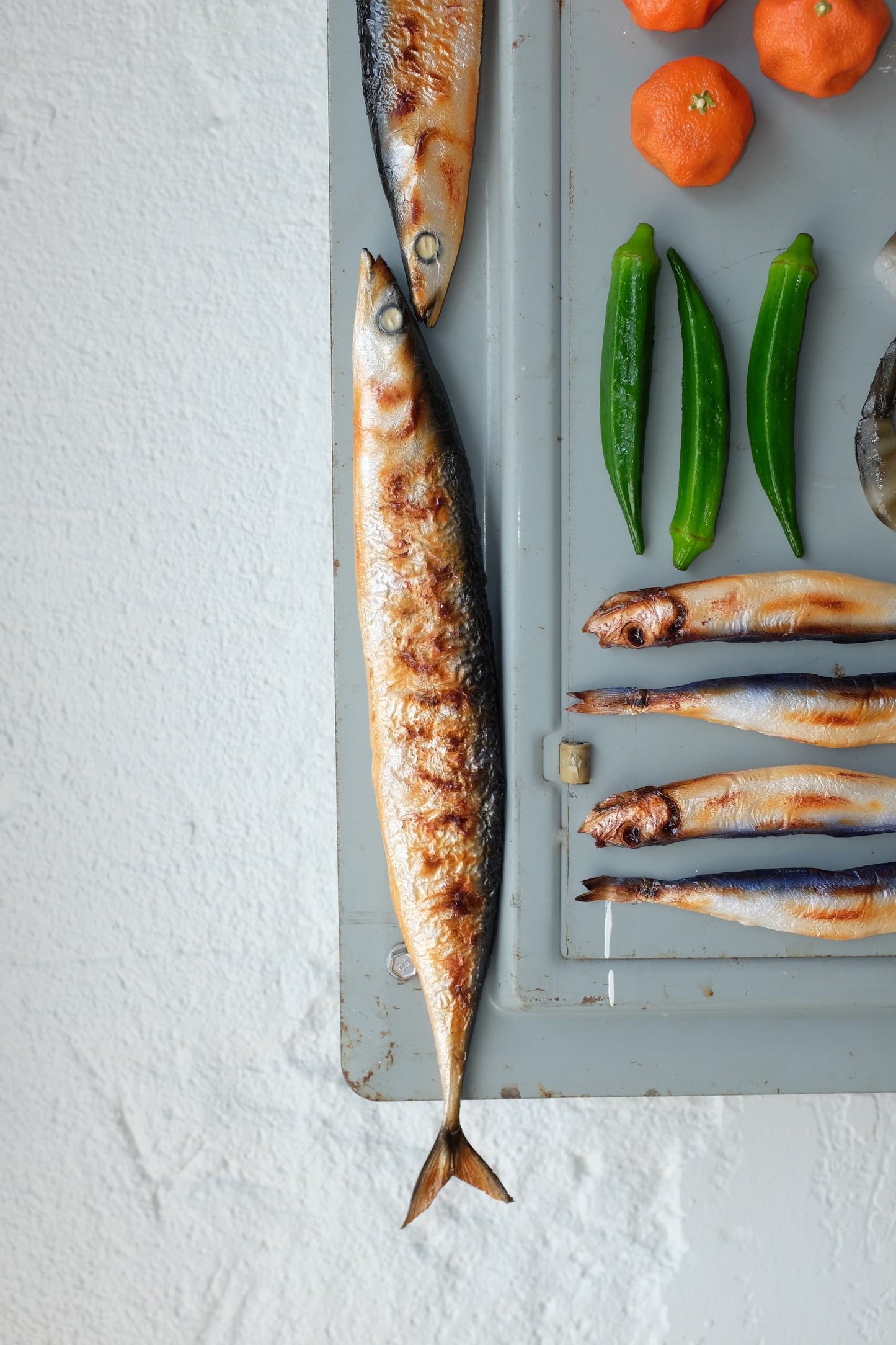 Mackerel Magnet