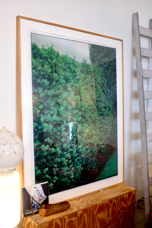 Hedges, Large Framed Lithograph, Ivor Abrahams (1935-2015, British)