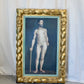 Standing Male Nude Portrait in Twisted Gilt Frame