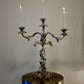 Silver Plate Grape Vine Candelabra