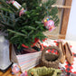 Simple Folk Art Bottle Cap Basket