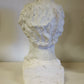 Ceramic Female Bust, Mitzi Shewmake