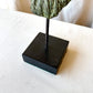 Archytas Bronze Sculpture On Stand
